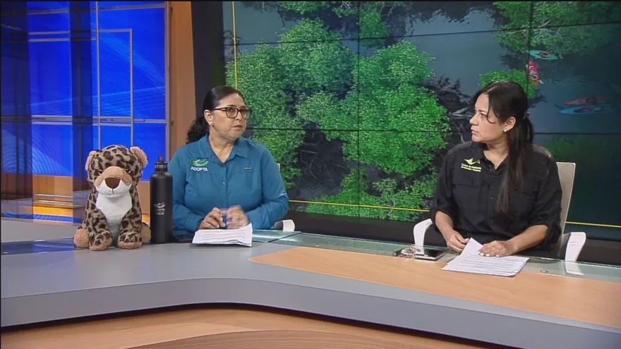 Grupos ambientalistas denuncian secuestro preventivo de cuentas bancarias