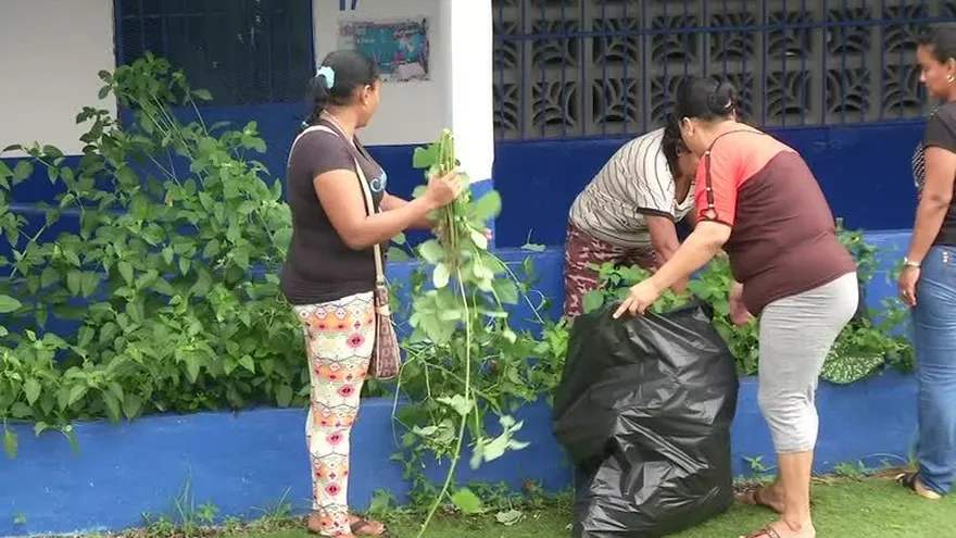 Limpieza escolar en San Miguelito