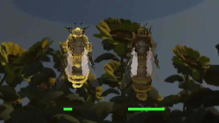 Videografía: La desaparición de las abejas