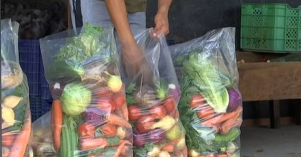 Regresan las 'Puercas del Neri'; es necesario registrarse para comprar las bolsas de legumbres