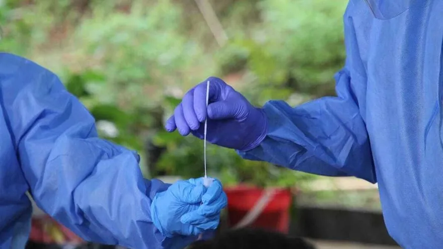 En las últimas 24 horas se registraron 4 defunciones.