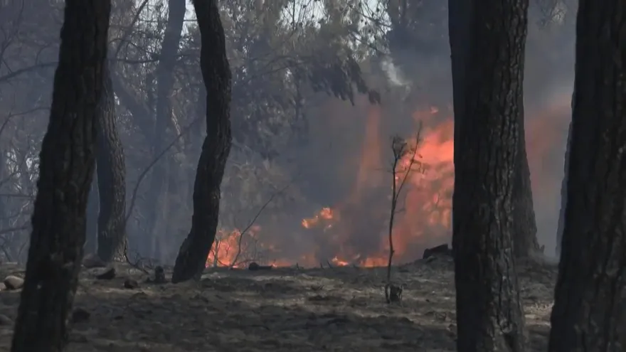 Varios pueblos evacuados en Grecia por importante incendio forestal