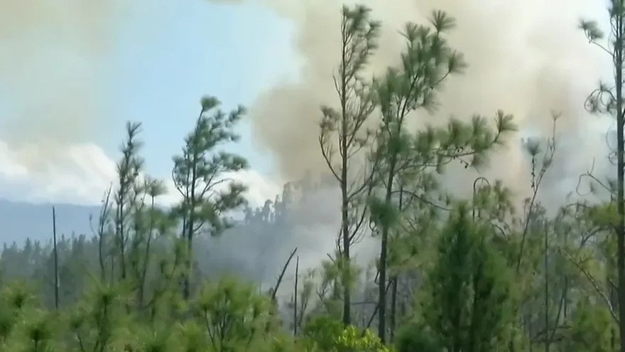 La Yeguada y su importancia a la biodiversidad
