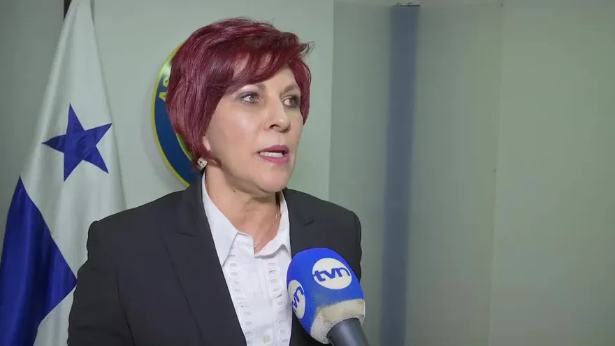 ¿Por qué surgen críticas contra naciente partido PAIS?