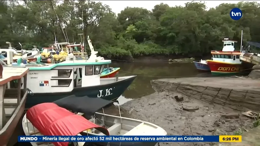 Pescadores artesanales preocupados por concesión de siembra de peces