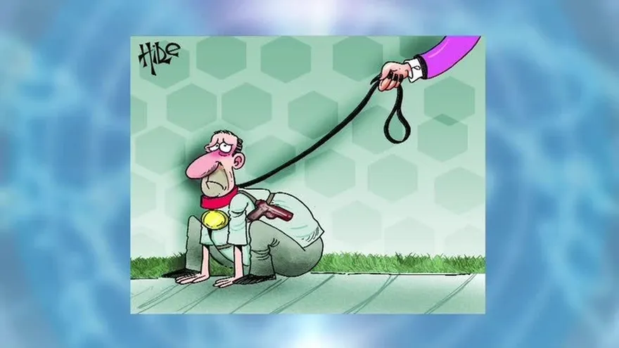 Bloque 8: Conclusiones y caricatura