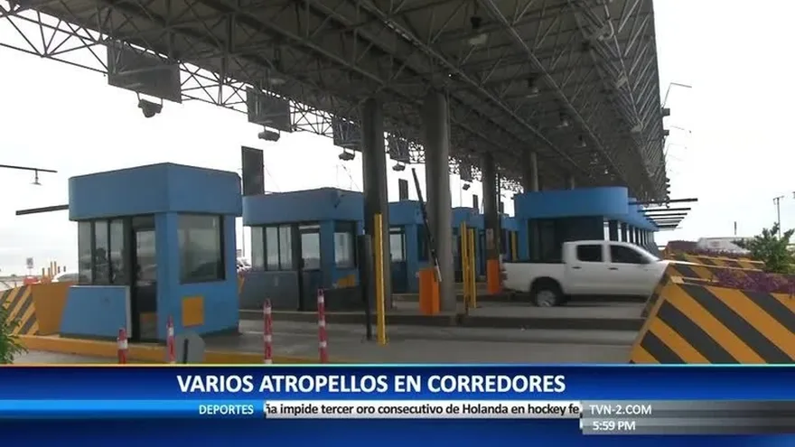 Se registran 12 muertes por atropello en los corredores