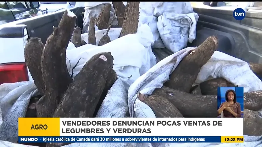 Vendedores de legumbres en Chiriquí se quejan de bajas ventas