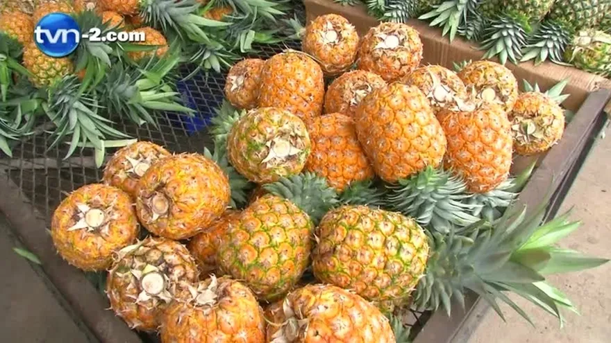 Sequía aumento el precio de la piña