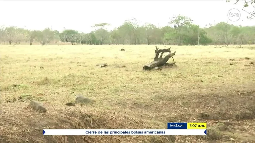 Chepo y Chiriquí son incluidos en plan de emergencia por sequía