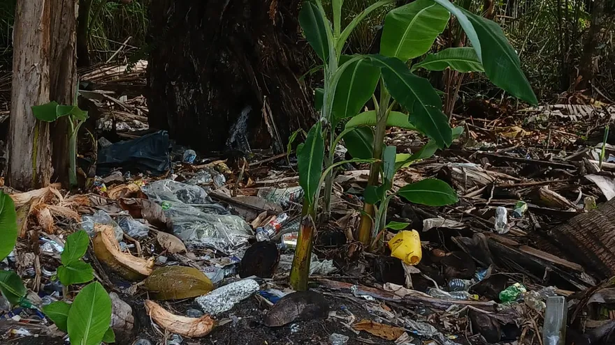 Ordenan cierre por un año del Paisaje Protegido Isla Escudo de Veraguas-Degó.