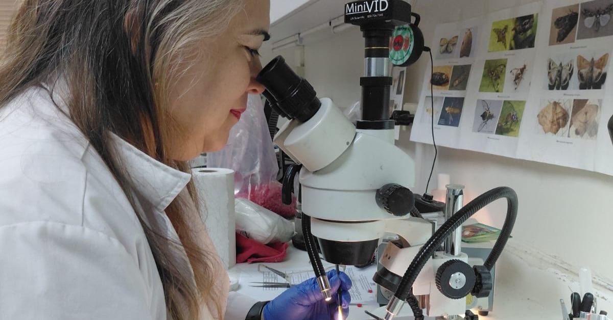 Dirección de Cuarentena del MIDA refuerza barrera fitosanitaria