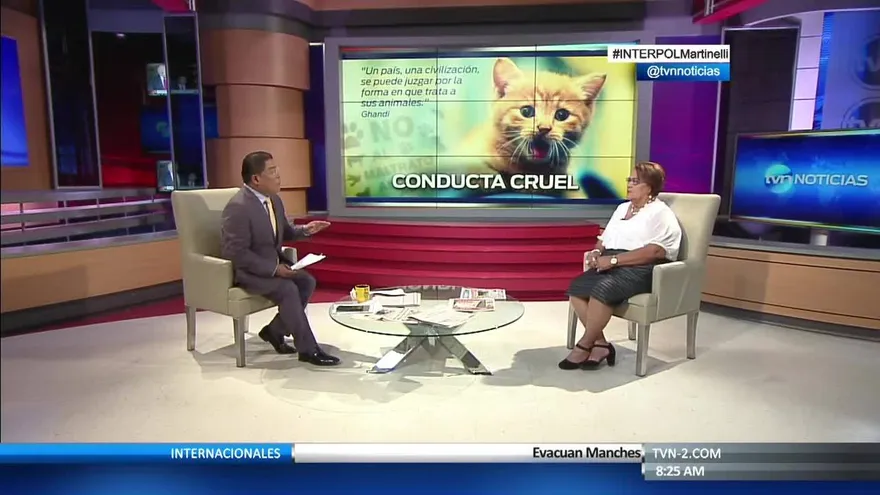 Estudiantes que maltrataron gato requieren ayuda profesional