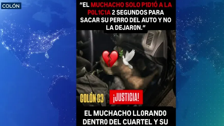 Polémica en Colón por la muerte de dos perros; Policía Nacional niega responsabilidades