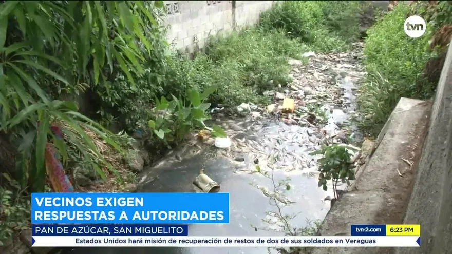 Mortandad de peces en Pan de Azúcar