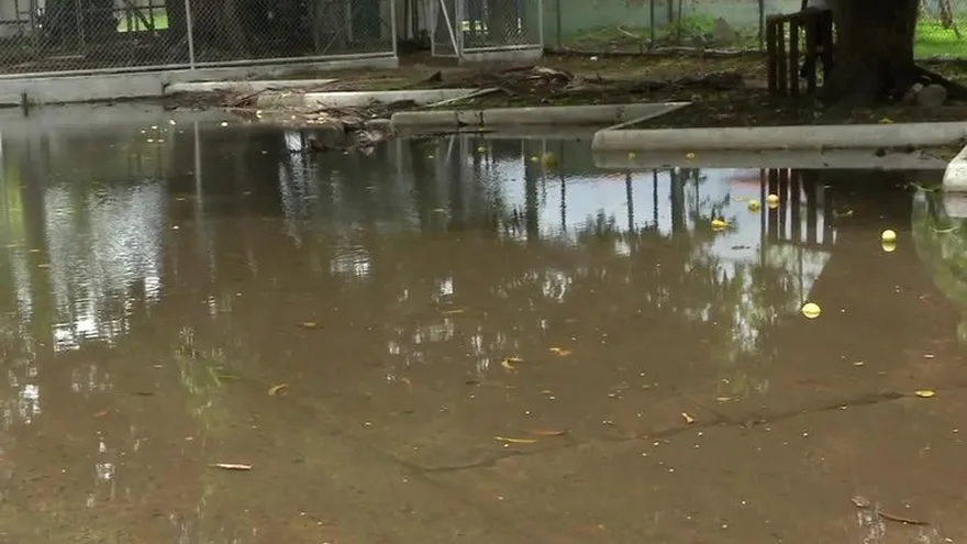 Comunidad de Jardín Olímpico está llena de mosquitos