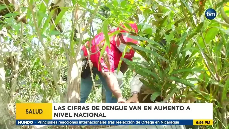 Autoridades piden no descuidarse y eliminar criaderos de mosquitos