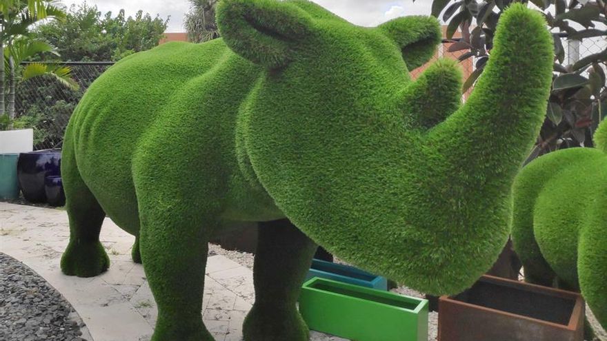 Un rinoceronte de césped artificial, elaborado por la empresa rusa Bacho, fue registrado este miércoles en una tienda de jardinería de Wilton Manors, al norte de Miami (Florida, EE.UU.)