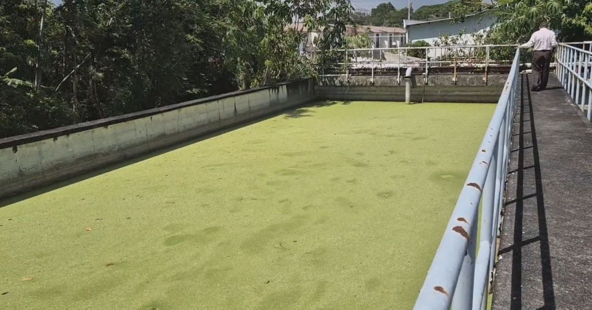 'Esto va a colapsar': alerta por aguas residuales en Ciudad del Futuro