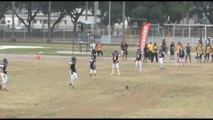 Jamboree - Spartans vs Owls