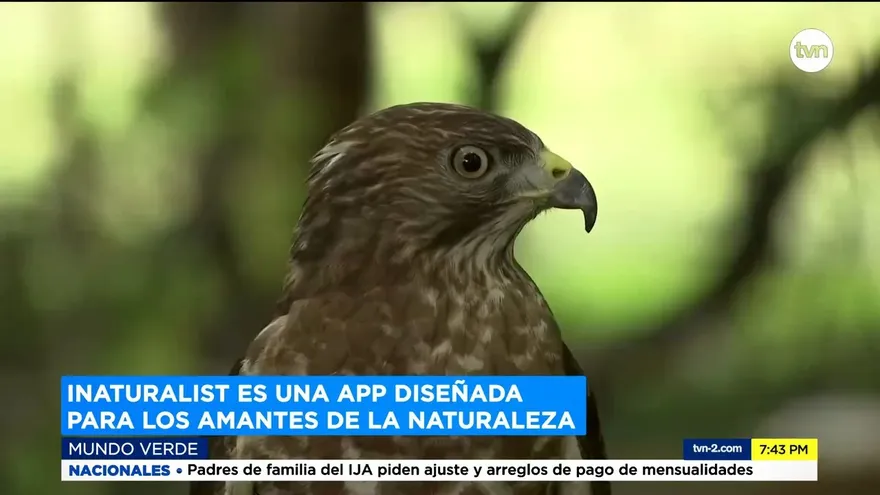 Mundo Verde: Ciencia ciudadana