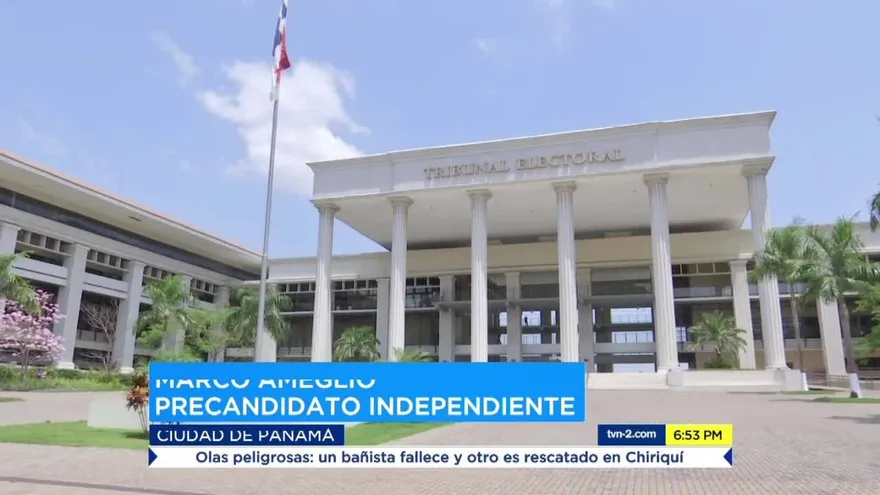 Tribunal Electoral ha aceptado que se han cometido errores