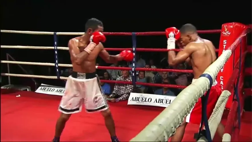 Mejores golpes de la gran final, José Sulaimán