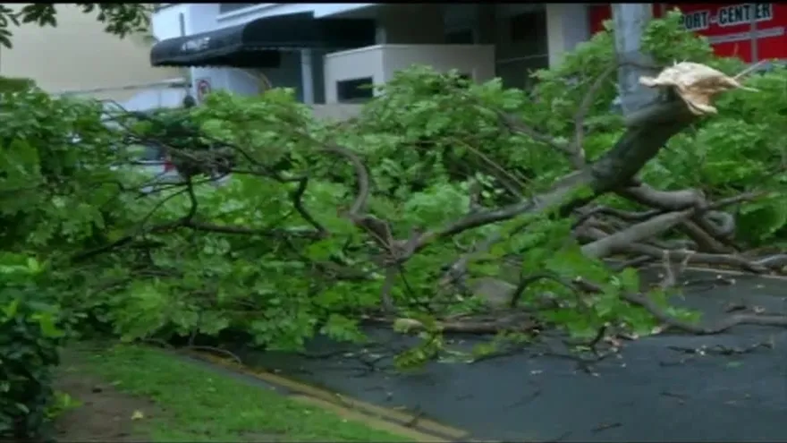 Director de Sinaproc brinda balance tras fuertes vientos en la ciudad capital