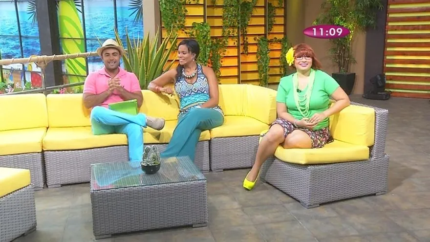 Web-Ando con Ludwick