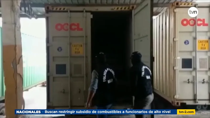 Bandas criminales detrás del tráfico de especies