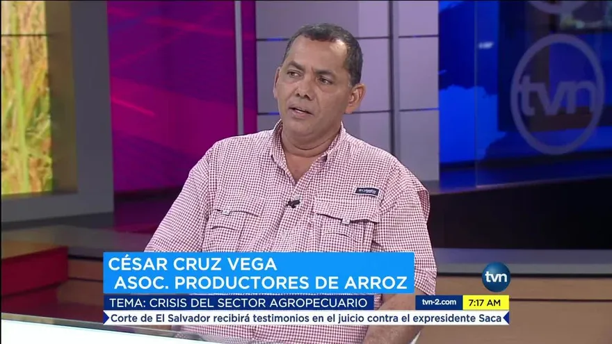 Arroceros piden respeto para su cosecha