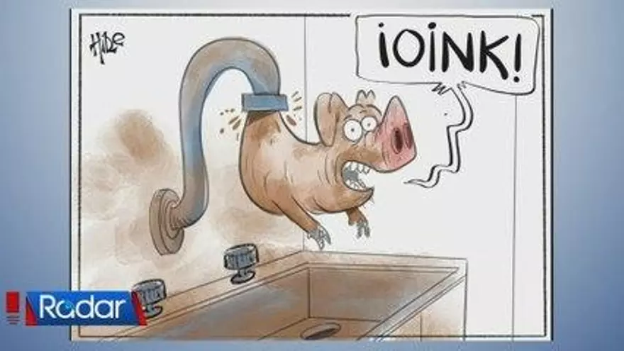 Bloque 4 Radar: Caricatura y conclusiones