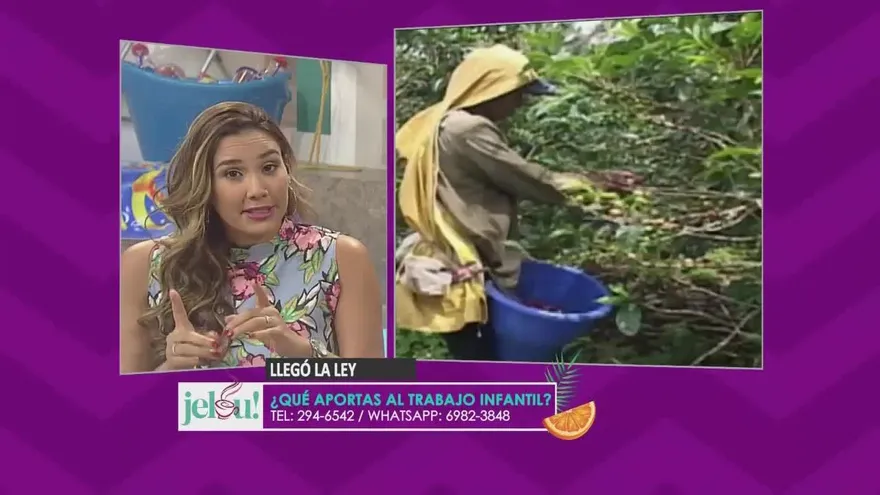 ¿Cómo la sociedad aporta al trabajo infantil?