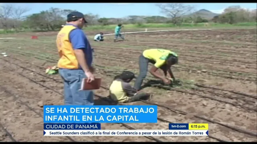 Firman acuerdo para contrarrestar trabajo infantil