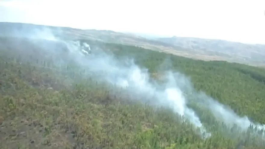 Un 95% del incendio en La Yeguada está controlado