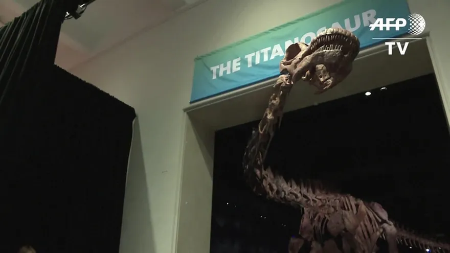 Colosal dinosaurio patágonico en New York