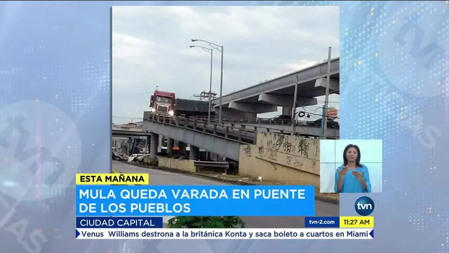 Mula se queda varada en puente vehicular
