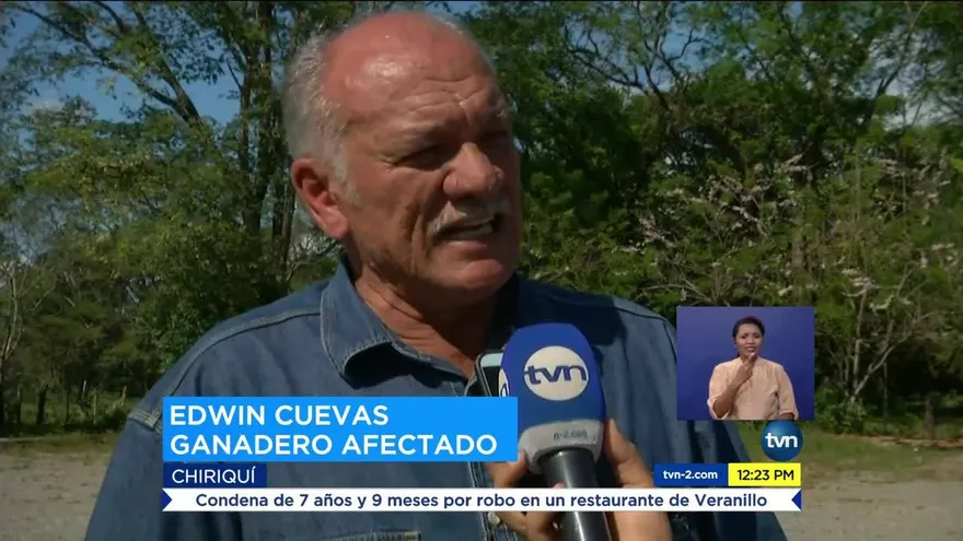 Ganaderos en alerta por banda de cuatreros