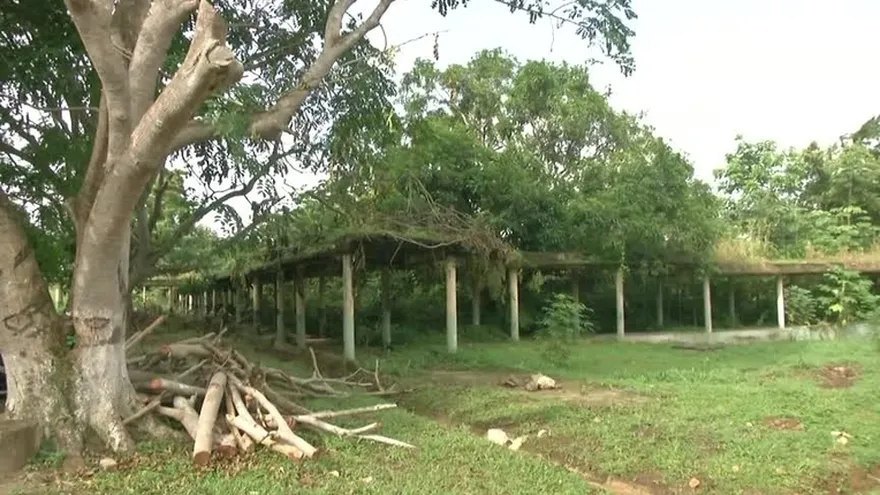 Viejas infraestructuras del Hospital Nicolás A. Solano, refugio de orates y alimañas