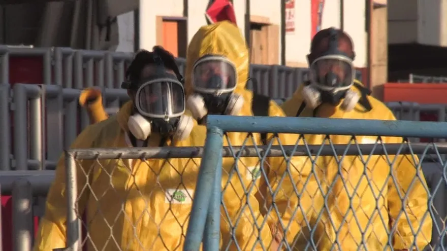 Rousseff La mejor vacuna contra el zika es combatir el mosquito