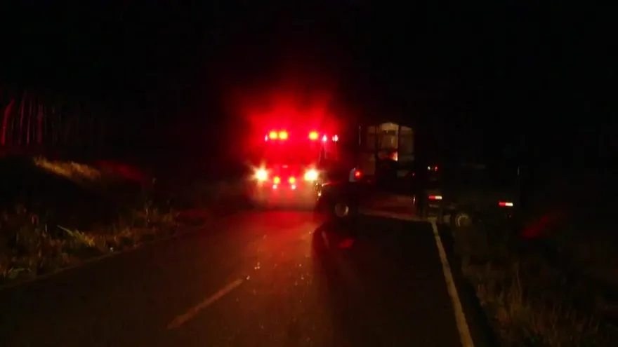 Se dan varios atropellos en menos de 24 horas