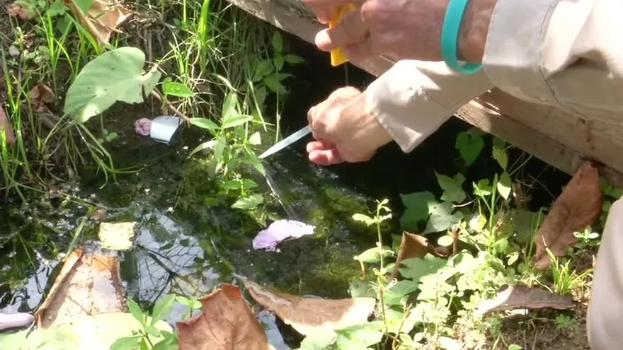 Autoridades del Minsa realizan operativos contra el Aedes aegypti