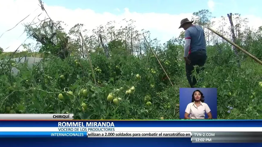 Productores chiricanos temen importaciones tras afectaciones por lluvias
