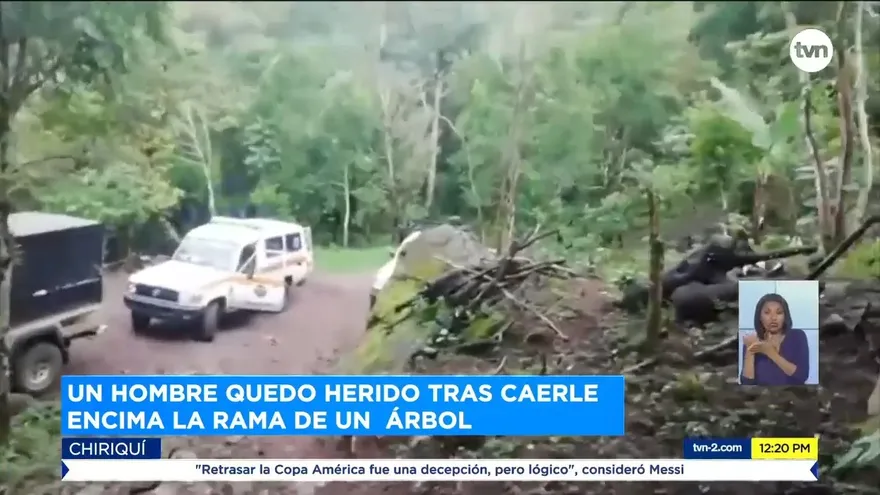 Rescatan a hombre aplastado por una rama de 15 metros