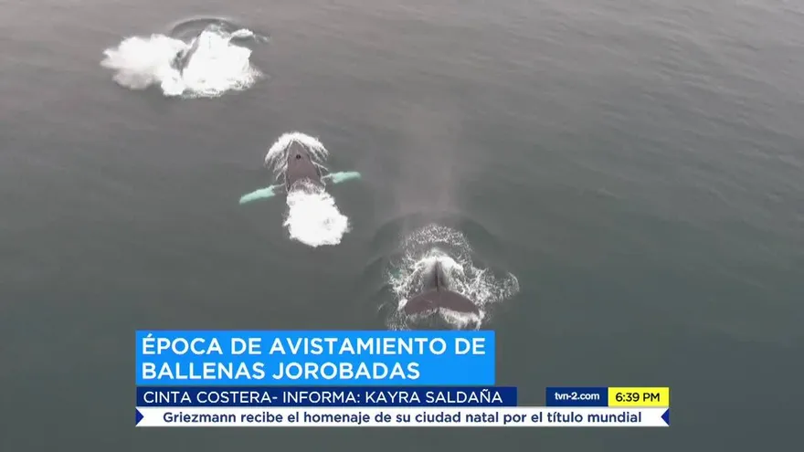 Noticiero Estelar 20 de julio del 2018 - Bloque 2