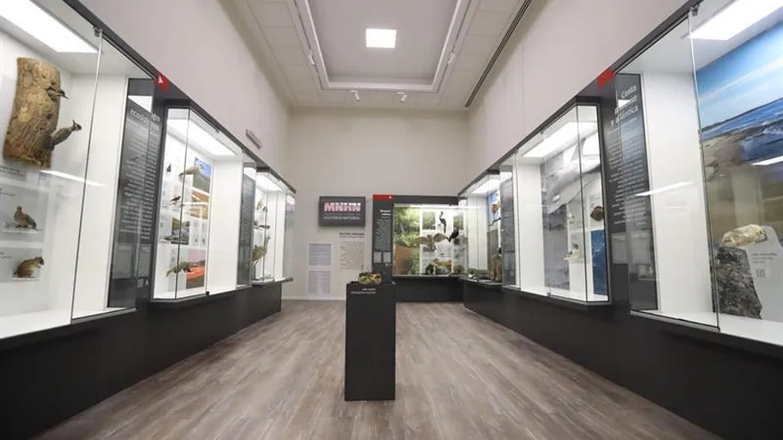 Vista general de una de las salas del Museo Nacional de Historia Natural (MNHN) de Uruguay.