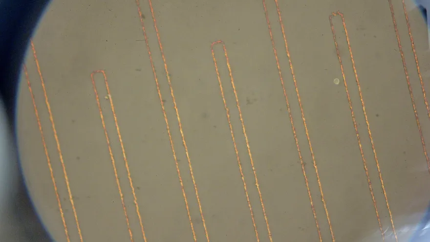 Imagen microscópica de los nanocables de oro de la batería de la UCI.