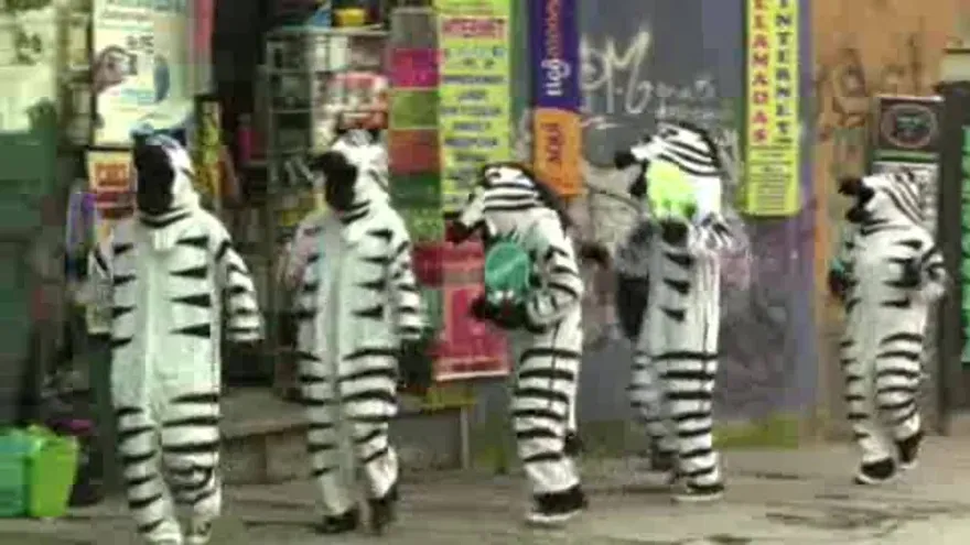Las cebras de La Paz que controlan el caos vechicular en Bolivia
