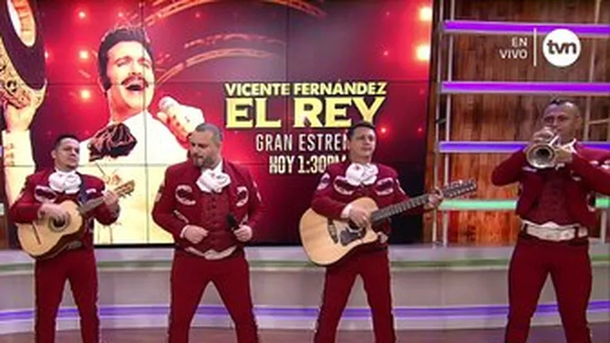 Llega un nuevo novelón a TVN