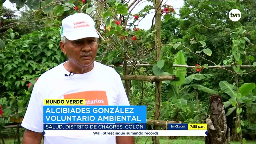 Mundo Verde: Voluntarios ambientales